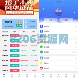 全新优化版八国语言微盘系统/外汇微交易系统/投资理财源码