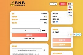 多语言BNB链上智能合约区块链资金盘