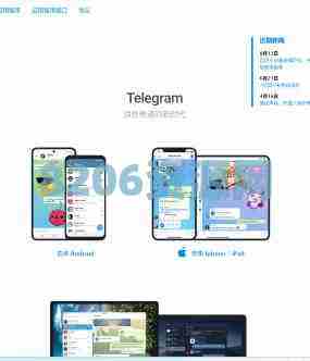 最新高仿TG假飞机源码